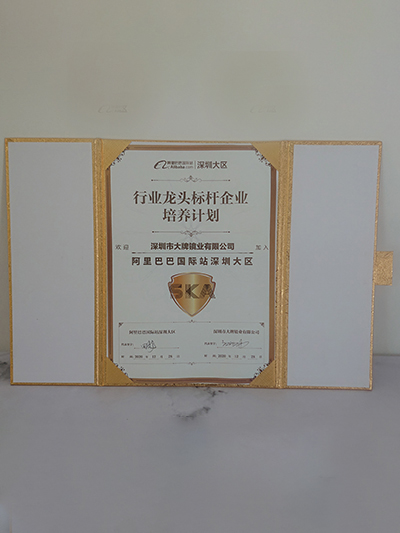 大牌鏡業(yè)-阿里巴巴行業(yè)龍頭標(biāo)桿企業(yè)證書